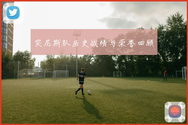突尼斯队历史战绩与荣誉回顾