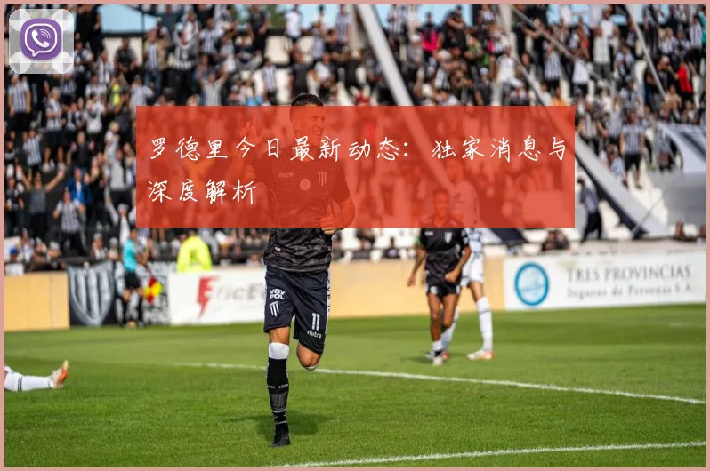 罗德里今日最新动态：独家消息与深度解析
